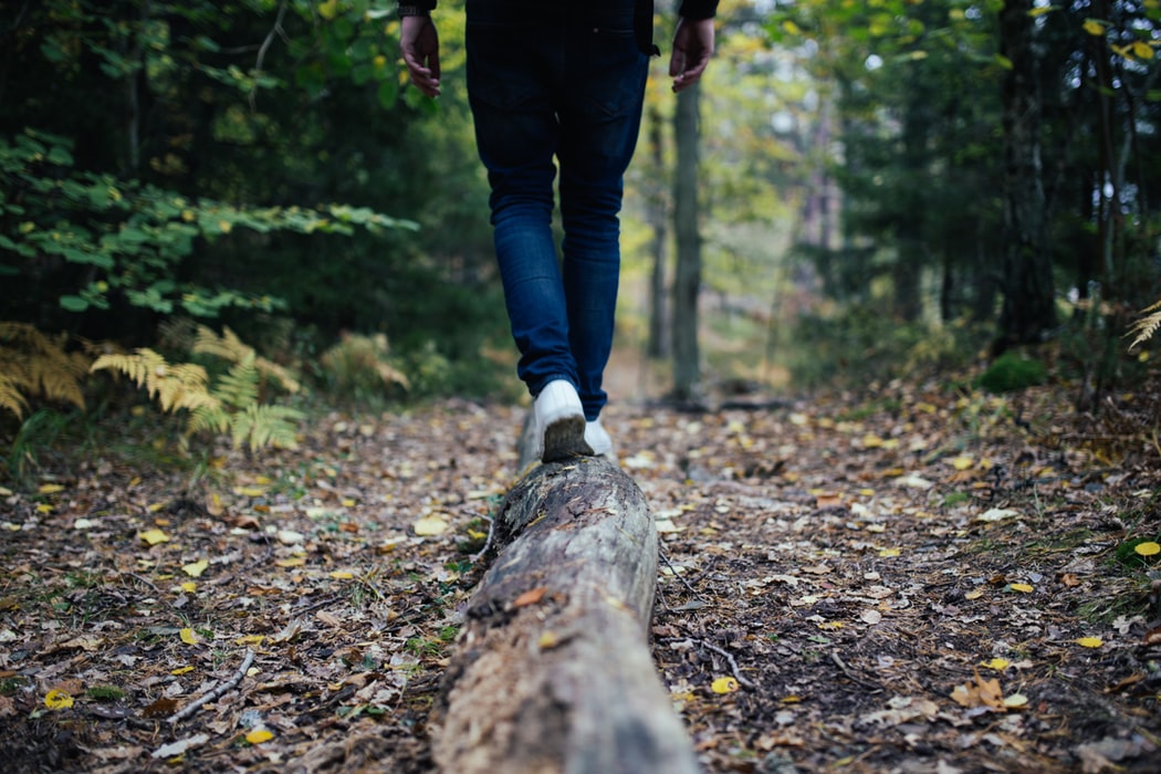 hiker on a log